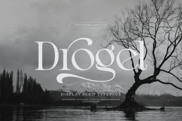 Elevating Brand Identity: Why Drogel Defines the New Era of Luxury Typography