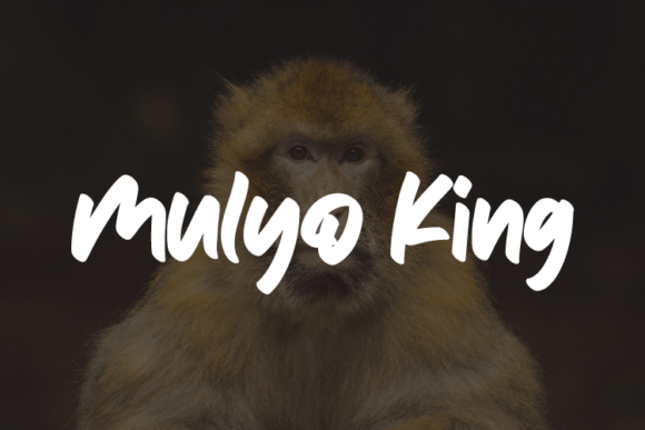 Mulyo King: Harnessing Raw Handwritten Energy for Bold Visual Communication