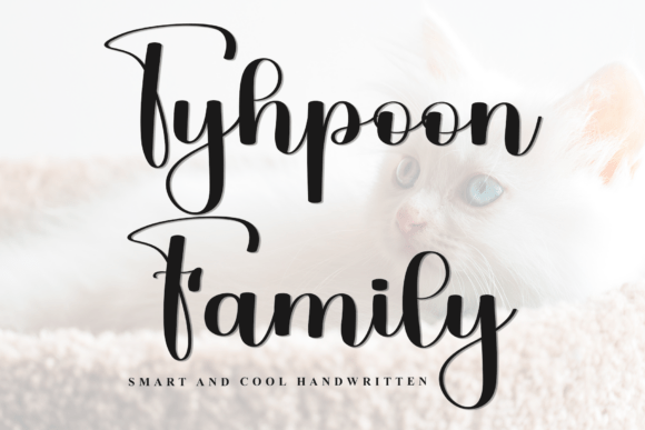 Tyhpoon Family: A Soft Font for Creative Design